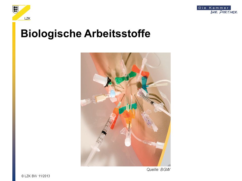 Die Parasiten die schwarze Walnuss
